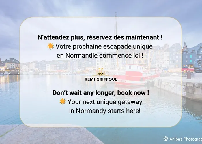 Chez Lou Et Dan 4p With Balcony Elevator And Secure Parking בית נופש הונפלר